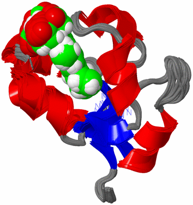 Image NMR Structure - all models