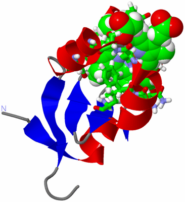 Image NMR Structure - model 1, sites