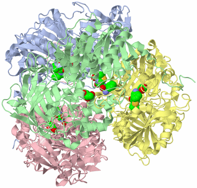 Image Asym./Biol. Unit