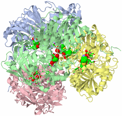 Image Asym./Biol. Unit - sites