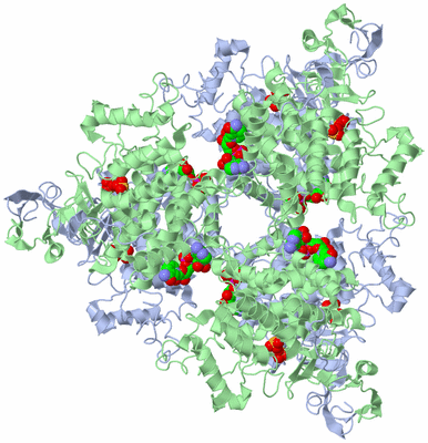 Image Biological Unit 1