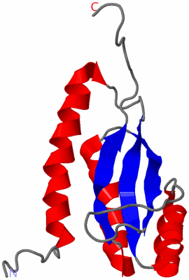 Image NMR Structure - model 1