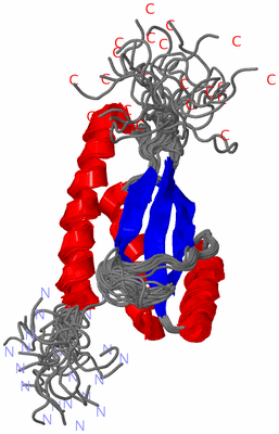 Image NMR Structure - all models