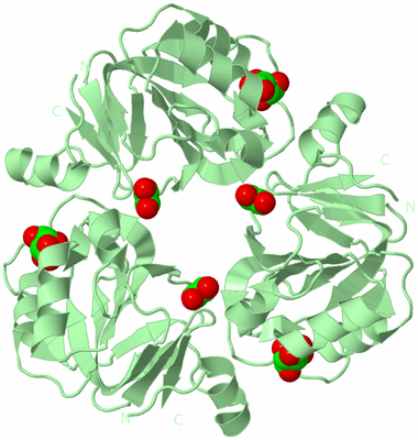 Image Biological Unit 2