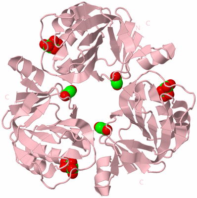 Image Biological Unit 3