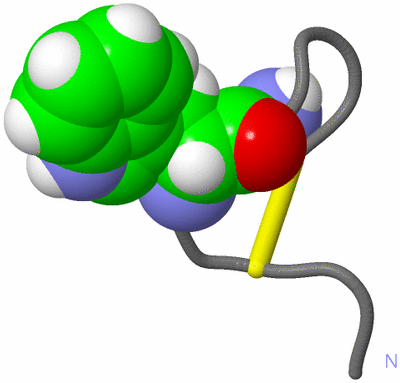 Image NMR Structure - model 1