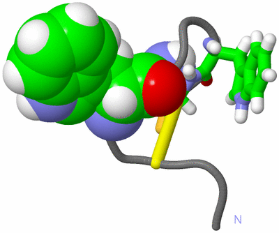 Image NMR Structure - model 1, sites