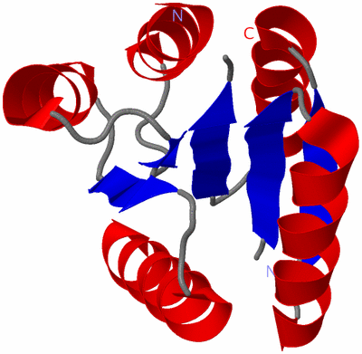 Image Asymmetric Unit