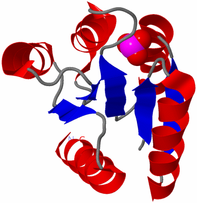 Image Asymmetric Unit