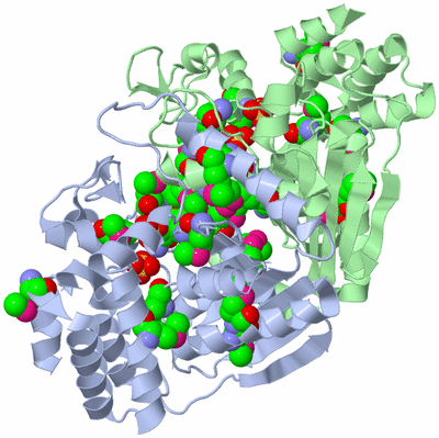 Image Asym./Biol. Unit