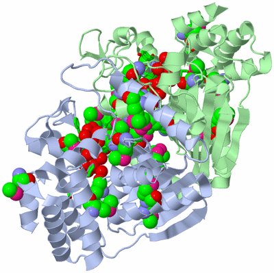 Image Asym./Biol. Unit - sites