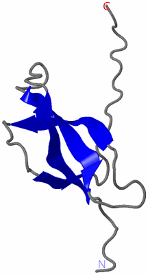 Image NMR Structure - model 1