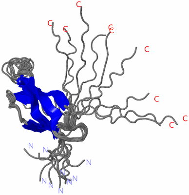 Image NMR Structure - all models