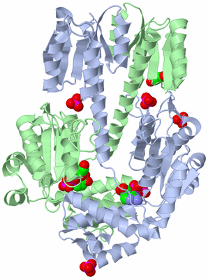 Image Asym./Biol. Unit