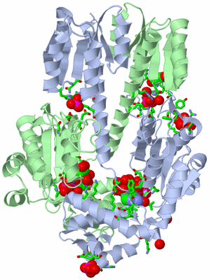 Image Asym./Biol. Unit - sites