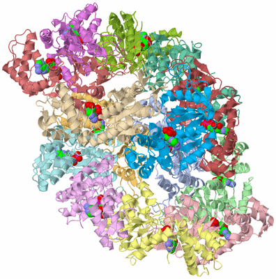 Image Asymmetric Unit