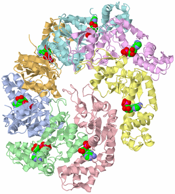 Image Biological Unit 1
