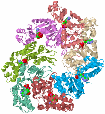Image Biological Unit 2