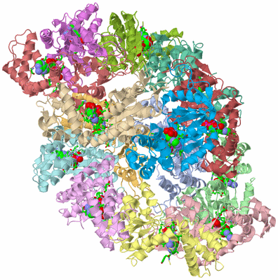 Image Asym. Unit - sites