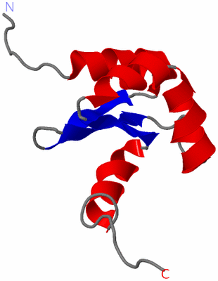 Image NMR Structure - model 1