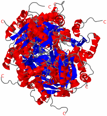 Image NMR Structure - all models