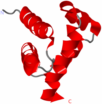 Image NMR Structure - model 1