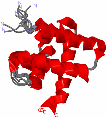 Image NMR Structure - all models