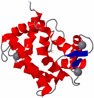 Image NMR Structure - model 1