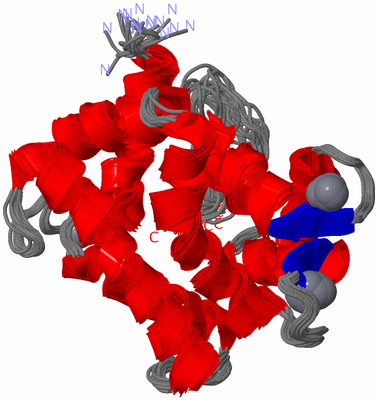 Image NMR Structure - all models