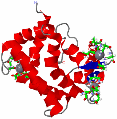 Image NMR Structure - model 1, sites