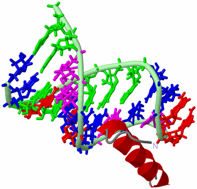 Image NMR Structure - model 1