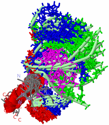 Image NMR Structure - all models