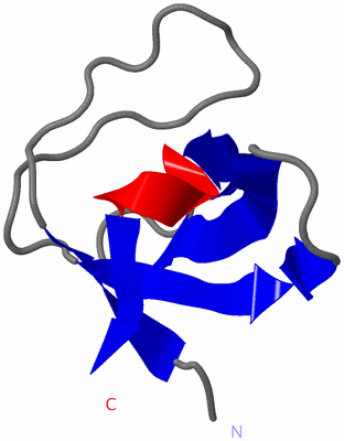 Image NMR Structure - model 1