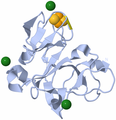 Image Biological Unit 1