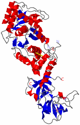 Image Asym./Biol. Unit