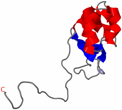 Image NMR Structure - model 1