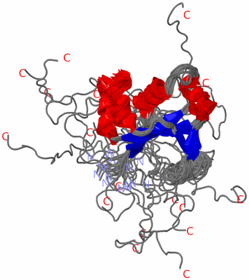 Image NMR Structure - all models