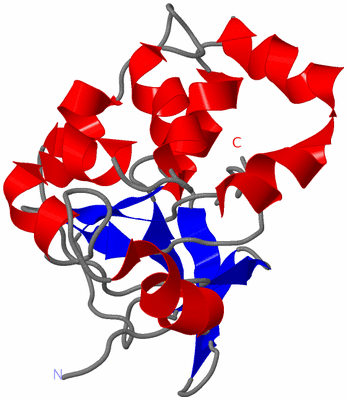 Image NMR Structure - model 1