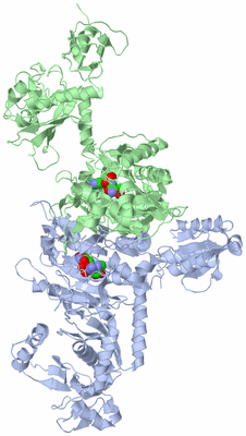 Image Asym./Biol. Unit