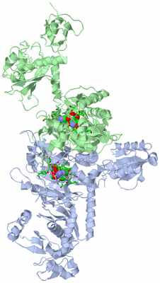 Image Asym./Biol. Unit - sites