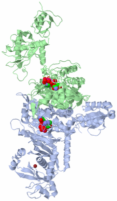 Image Asym./Biol. Unit