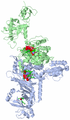 Image Asym./Biol. Unit - sites