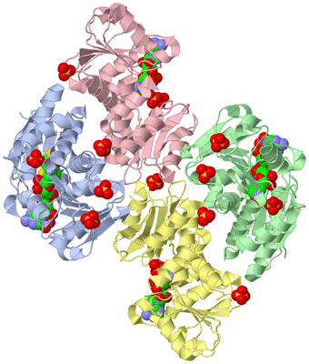 Image Biological Unit 1