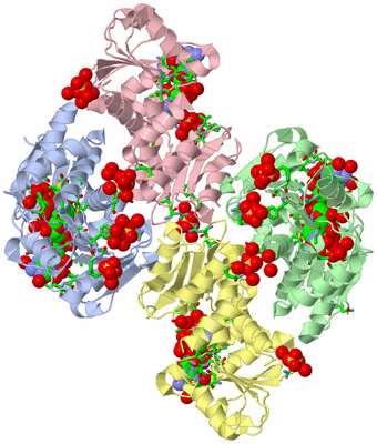 Image Biol. Unit 1 - sites