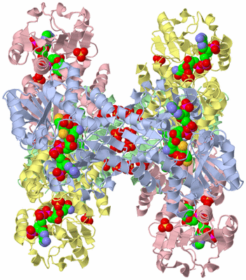 Image Biological Unit 2