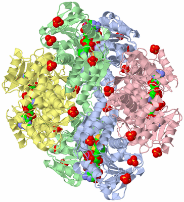 Image Biological Unit 3