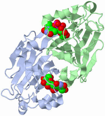 Image Asym./Biol. Unit