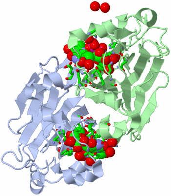 Image Asym./Biol. Unit - sites