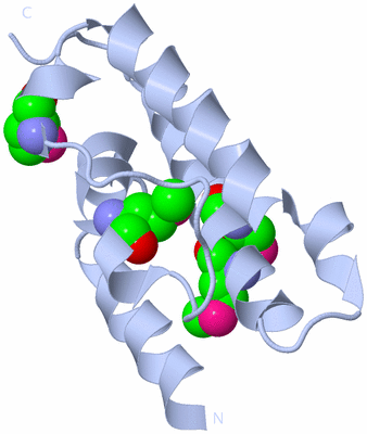 Image Biological Unit 1