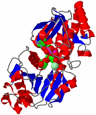 Image Asym./Biol. Unit